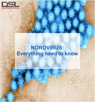 NOROVIUS: EVERYTHING NEED TO KNOW